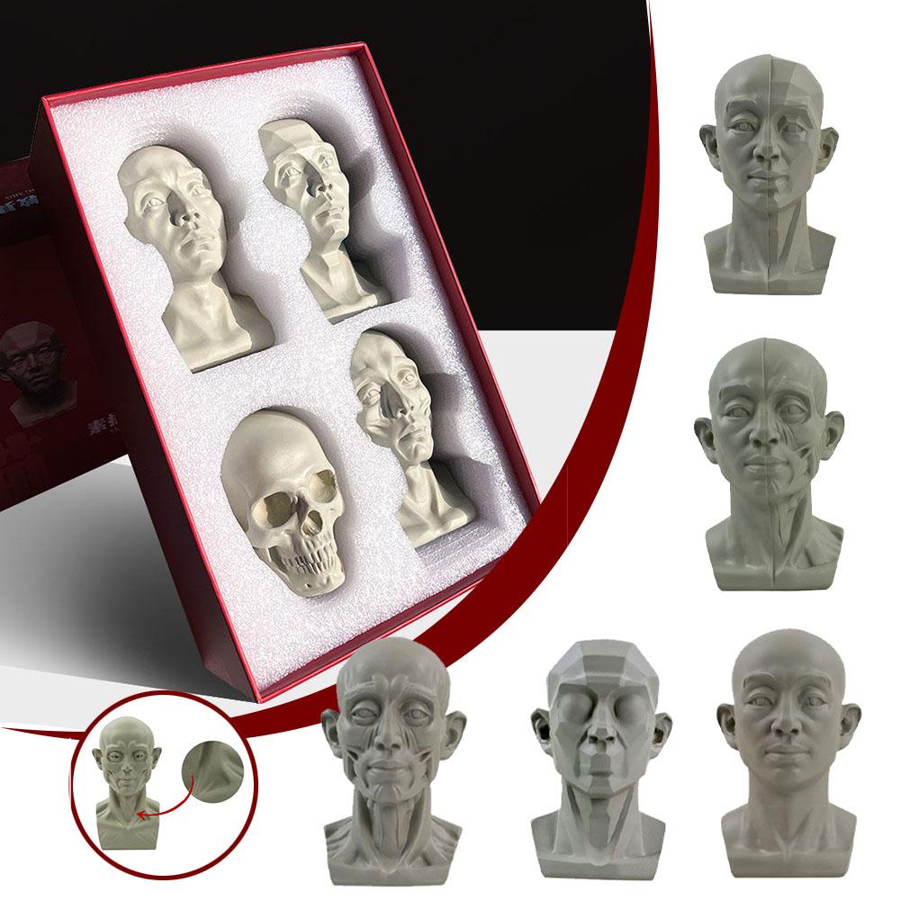 Resin Art Learning - Arte gesso retrato auxiliares de ensino