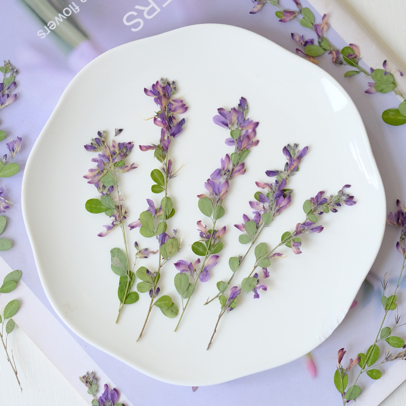6 peças, Flores Secas Naturais - Resin Art Bookmark avaliação e preço
