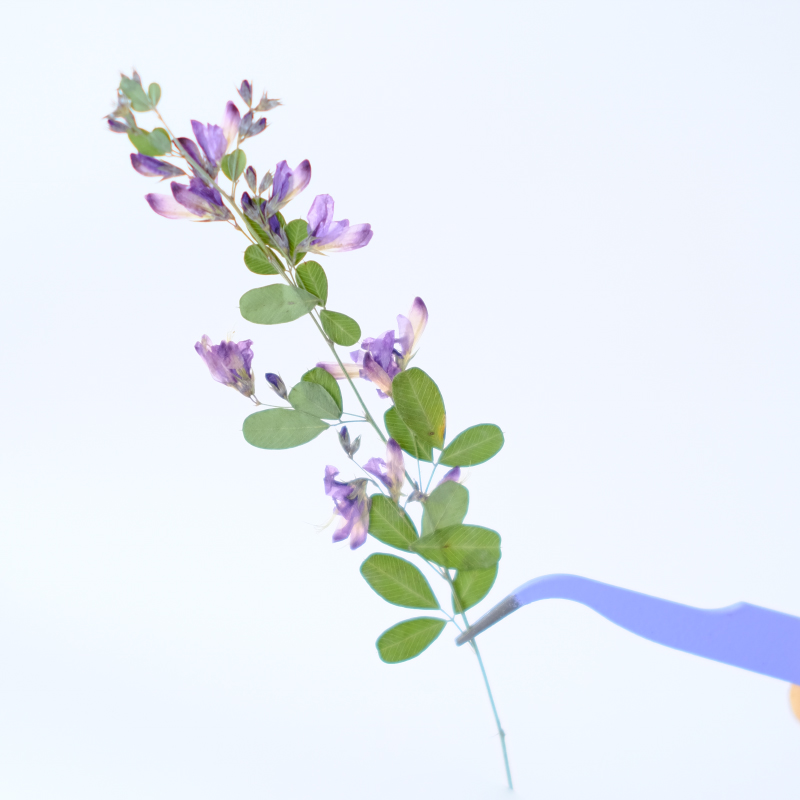 6 peças, Flores Secas Naturais - Resin Art Bookmark avaliação e preço
