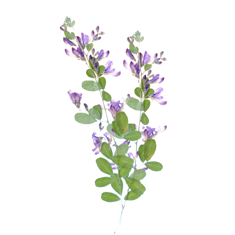6 peças, Flores Secas Naturais - Resin Art Bookmark avaliação e preço
