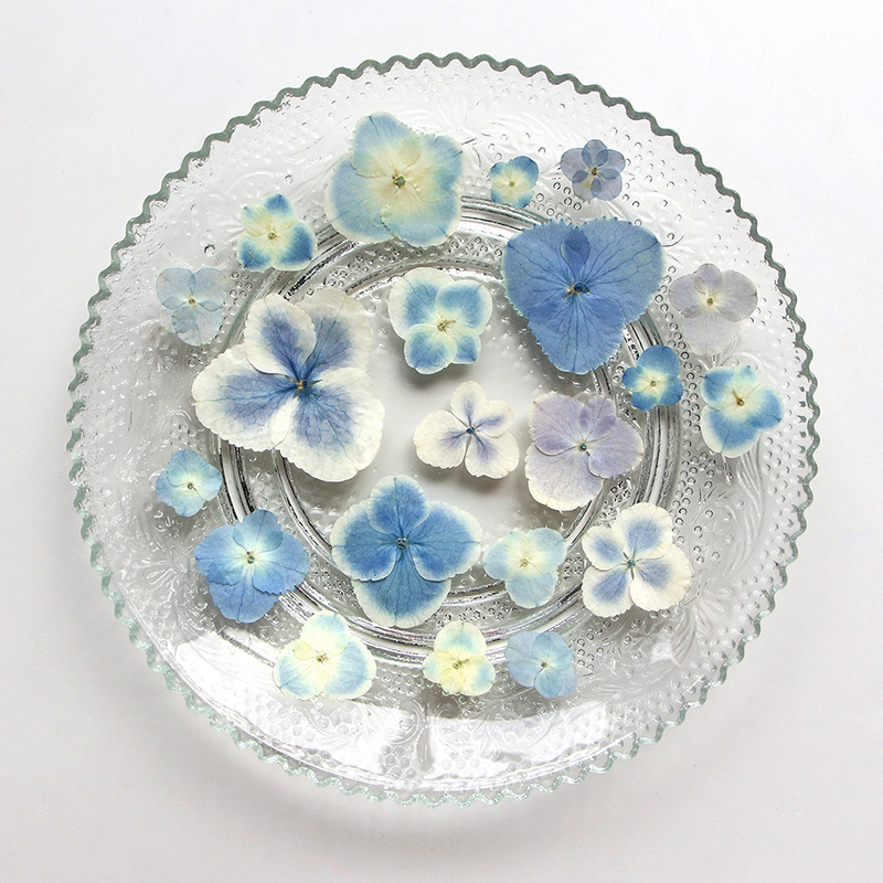 Planta de Hortênsia Azul Branc - Resin Art Bookmark avaliação e preço