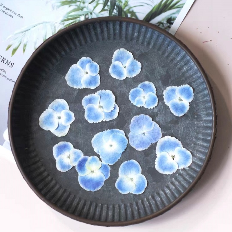 Planta de Hortênsia Azul Branc - Resin Art Bookmark avaliação e preço