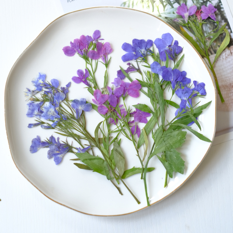 6 peças/8-13cm, Flores Secas N - Resin Art Bookmark avaliação e preço