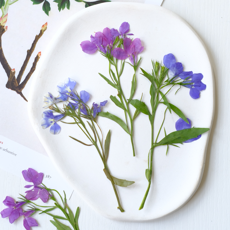 6 peças/8-13cm, Flores Secas N - Resin Art Bookmark avaliação e preço