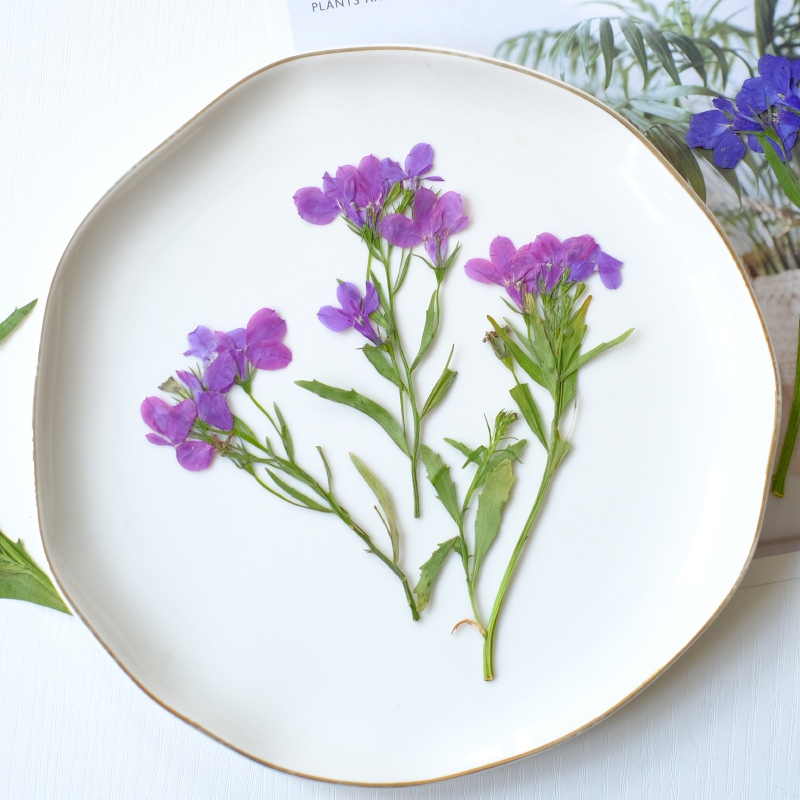 6 peças/8-13cm, Flores Secas N - Resin Art Bookmark avaliação e preço